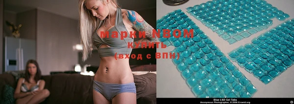 ECSTASY Кукмор