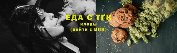 гашик Корсаков