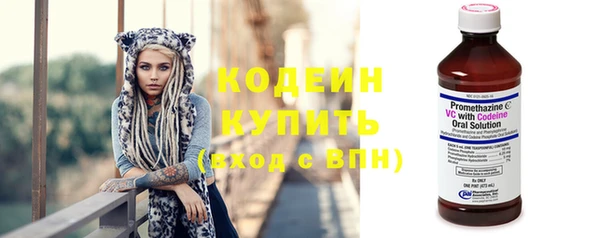 ECSTASY Кукмор