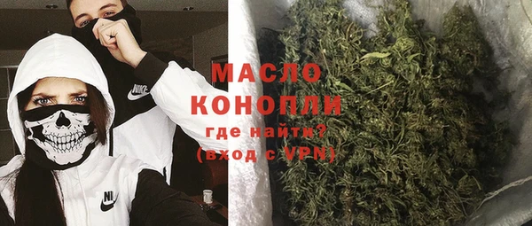 индика Костерёво