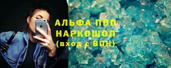 индика Костерёво