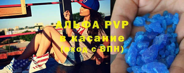гашик Корсаков